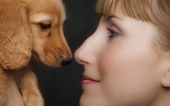 人生有三大错误，千万不要犯