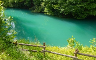 为什么在人多的地方，你一眼就被认出是最好欺负的那个？