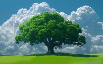 不论你婚姻幸与不幸，伴侣忠与不忠，一定要明白，最好的感情，不是一辈子不吵不闹