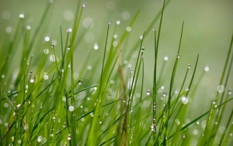 不要再有弱者气息了，记住这七点，提升气场，自带光芒