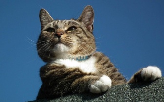 人这一生陪伴你最久的竟然是你的同事