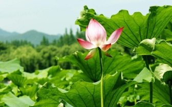 放下“算盘”后，我们成了朋友